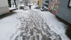 IMG_20220301_073422 (1) U toku čišćenje ulica, javni saobraćaj bez većih kašnjenja (FOTO) 5