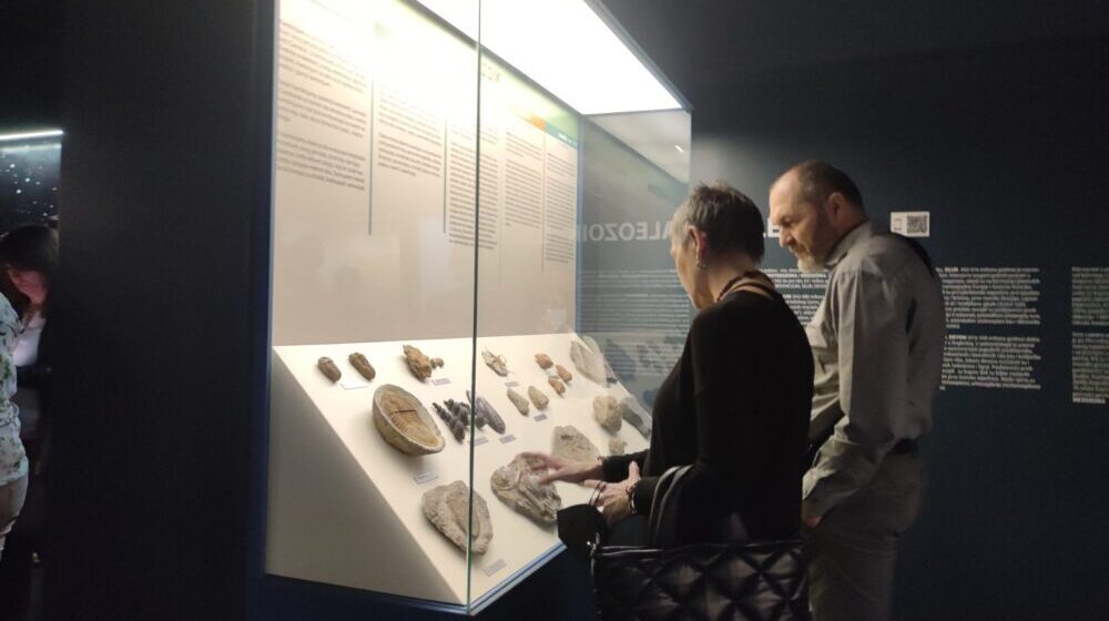 Nebesko kamenje i glava fosila Mosasaurusa čekaju Svilajčane u Prirodnjačkom centru Srbije 1