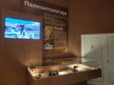 Nebesko kamenje i glava fosila Mosasaurusa čekaju Svilajčane u Prirodnjačkom centru Srbije 6