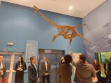 Nebesko kamenje i glava fosila Mosasaurusa čekaju Svilajčane u Prirodnjačkom centru Srbije 9