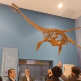 Svilajnac: U Prirodnjačkom centru gostuje Planetarijum iz prestonice 9