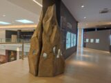 Nebesko kamenje i glava fosila Mosasaurusa čekaju Svilajčane u Prirodnjačkom centru Srbije 12