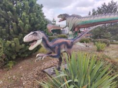 Nebesko kamenje i glava fosila Mosasaurusa čekaju Svilajčane u Prirodnjačkom centru Srbije 14