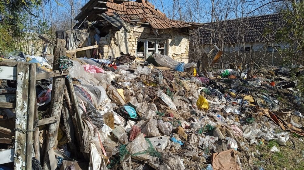 Šakali u beogradskim naseljima 1