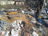 Subotica: Stanovnicima ulice Ante Evetovića Miroljuba deponija stigla do kuće, strahuju za zdravlje 6