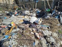 Subotica: Stanovnicima ulice Ante Evetovića Miroljuba deponija stigla do kuće, strahuju za zdravlje 9
