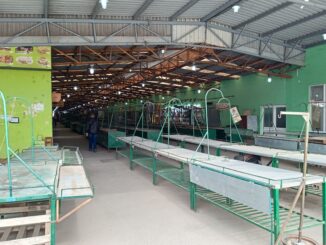 Prazan subotički Buvljak, prodavci protestuju protiv uvođenja fiskalnih kasa 2