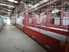 Prazan subotički Buvljak, prodavci protestuju protiv uvođenja fiskalnih kasa 8