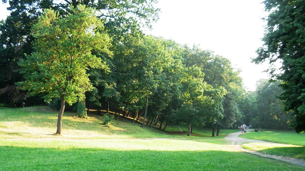 Novi Sad: Humanitarna trka sutra u Kameničkom parku 1