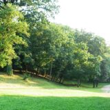 Novi Sad: Humanitarna trka sutra u Kameničkom parku 5