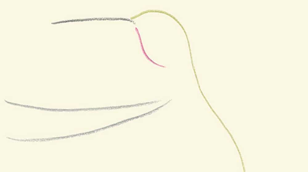 Čudesno putovanje kroz vreme 1