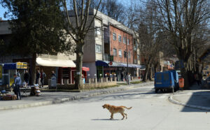 Lučani uoči prevremenih lokalnih izbora: Ulice oprane 2018. pa pre nekoliko dana (FOTO) 7