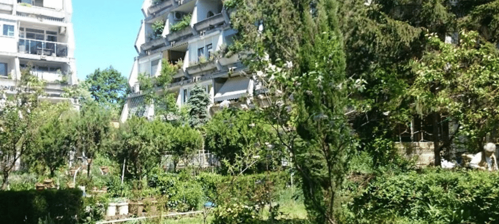 Kako ozelenjavanje dvorišta vaše zgrade može da se odrazi na klimu 1