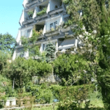 Kako ozelenjavanje dvorišta vaše zgrade može da se odrazi na klimu 3