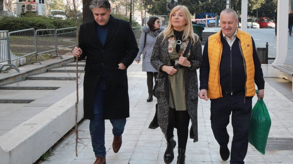 Predstavnici DS ostavili sadnicu šljive Vučiću: Bez korenitih promena ostaće nas da stanemo pod drvo 1