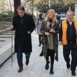 Predstavnici DS ostavili sadnicu šljive Vučiću: Bez korenitih promena ostaće nas da stanemo pod drvo 7
