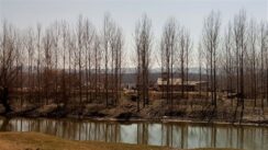 Ekolozi naterali vlast da sprovodi zakon: Podneta krivična prijava protiv preduzeća „Svetorog“ zbog zauzimanja obale Dunava u Futogu 3
