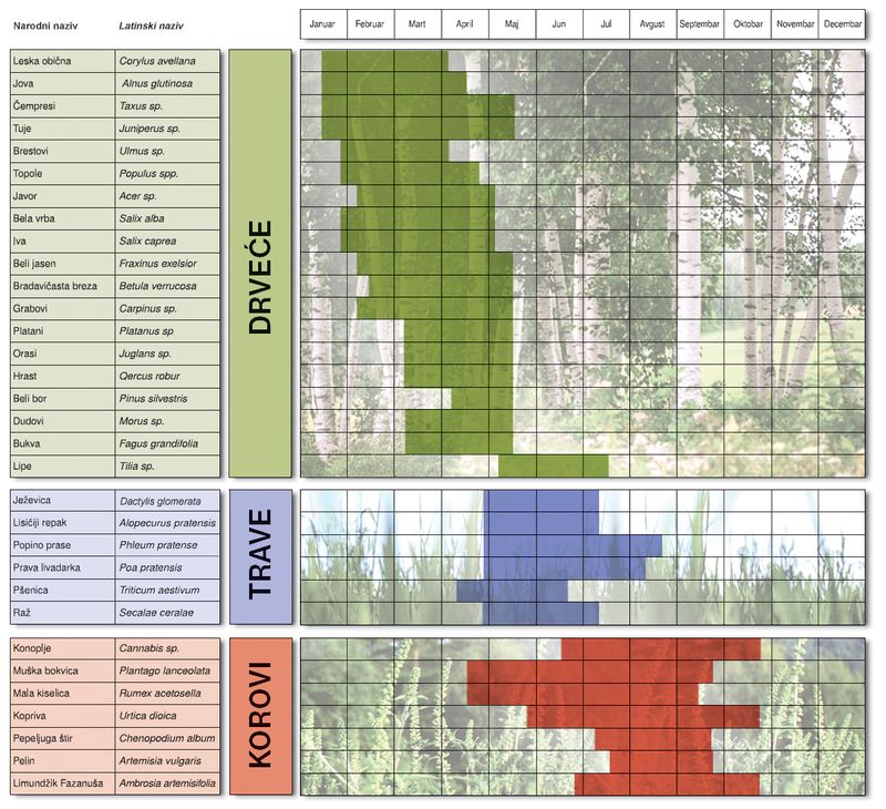 Kako razlikovati alergiju od prehlade? 3