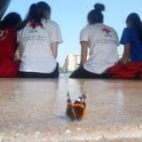 Subotički Crveni krst prvi put dobio sredstva od Grada za terenske akcije dobrovoljnog davalaštva krvi 4