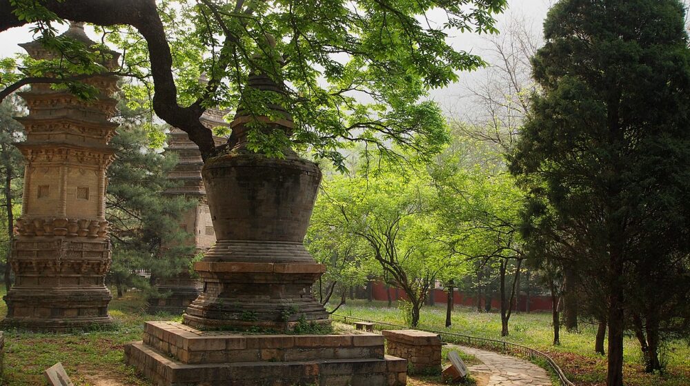 Kina (2): Mesto za slavne goste 1