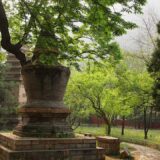 Kina (2): Mesto za slavne goste 13