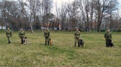 U niškoj kasarni “Knjaz Mihailo” u toku obuka pasa koji obezbeđuju vojne objekte 3