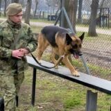 U niškoj kasarni “Knjaz Mihailo” u toku obuka pasa koji obezbeđuju vojne objekte 16