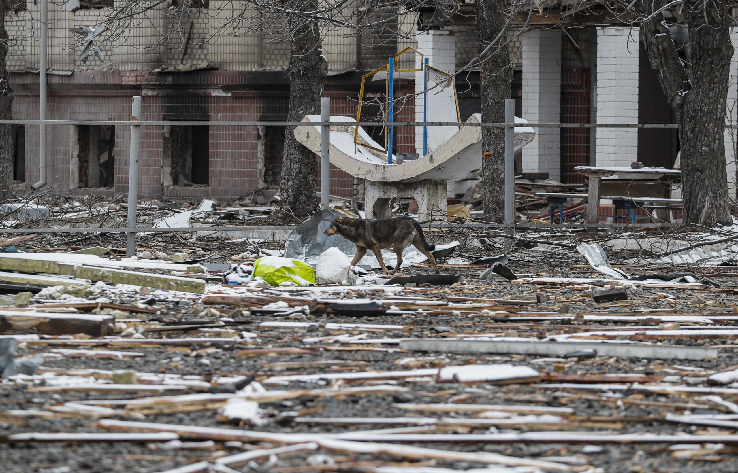 Ispovest Ukrajinki: Pokušavamo jedni na druge da utičemo i da objasnimo koliko je važno da jedemo 4