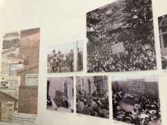 image_50434817 Protivstav je važan, on čuva kritičku misao 9