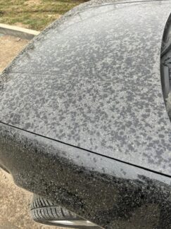 Meteorolog: Žuta kiša kombinacija peska iz Sahare i zagađenja iz TENT-a 3