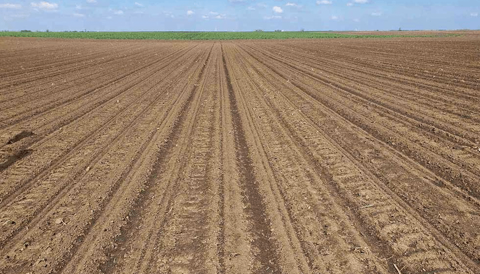 U Žitištu drugi krug licitacija za državne njive 1