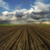 U novosadskom ataru početna cena zakupa od 20 do 200 evra po hektaru 1