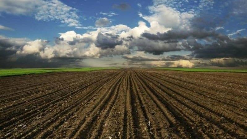 U novosadskom ataru početna cena zakupa od 20 do 200 evra po hektaru 1