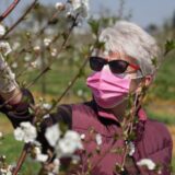 Kako se dijagnostikuju, a kako leče alergije? (VIDEO) 9