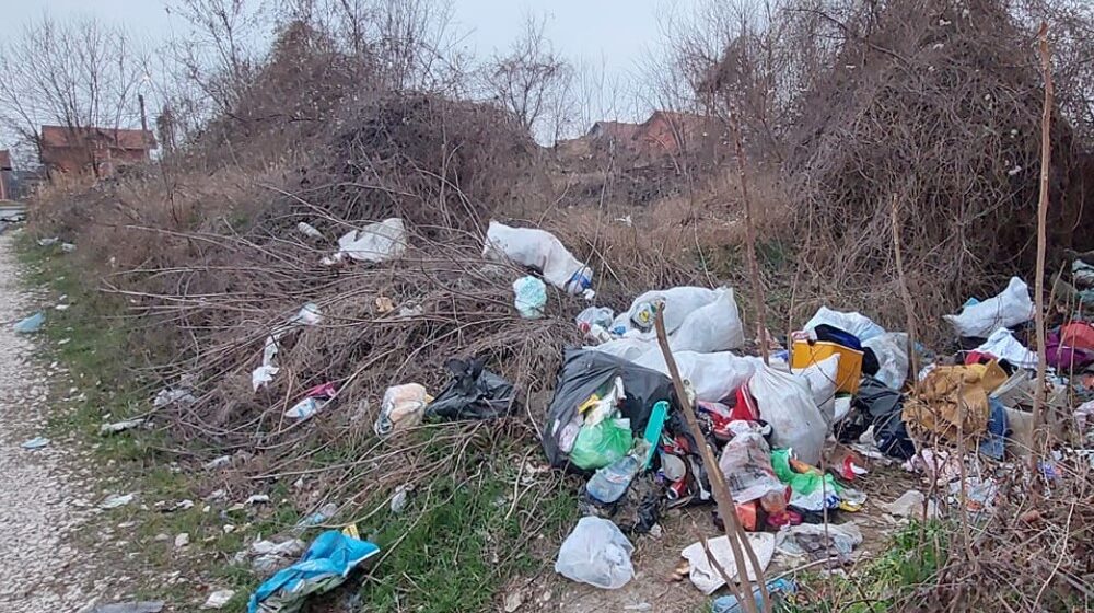 Stanari Mariborske ulice u Zaječaru muku muče sa smećem 1