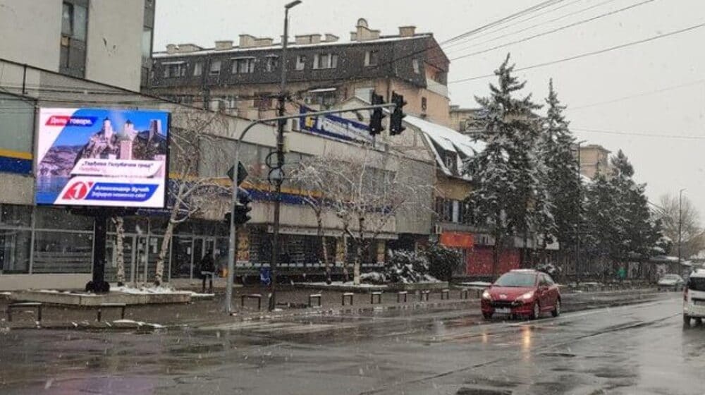 Narodna stranka: Posečeno drvo je simbol bahatosti SNS vlasti u Zaječaru 1