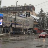 Narodna stranka: Posečeno drvo je simbol bahatosti SNS vlasti u Zaječaru 5