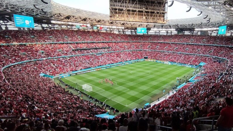 Mađari zagledani u sopstvenu fudbalsku prošlost uspostavili vertikalu za budućnost 3