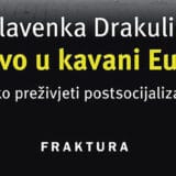 Eseji o iznevjerenim iluzijama i ograničenosti 10