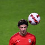 Svilar na golu Rome 8