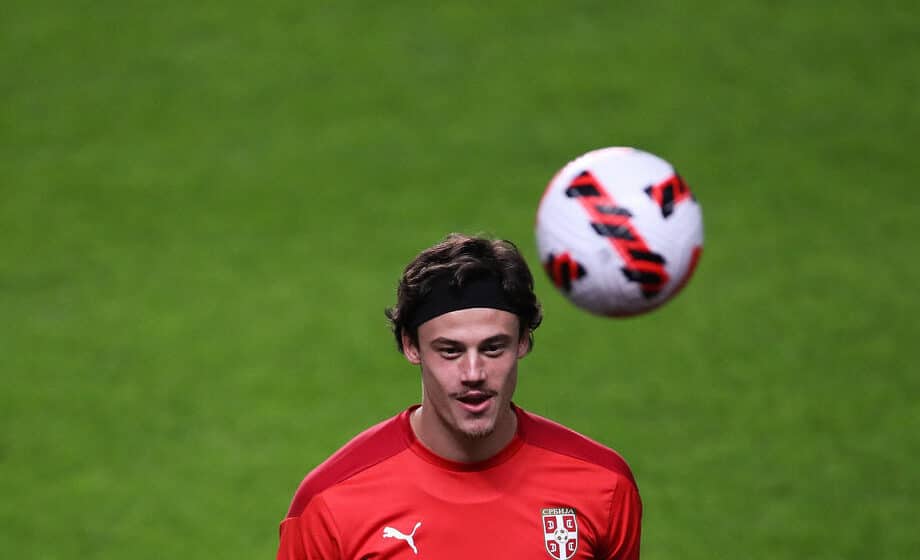 Svilar na golu Rome 1