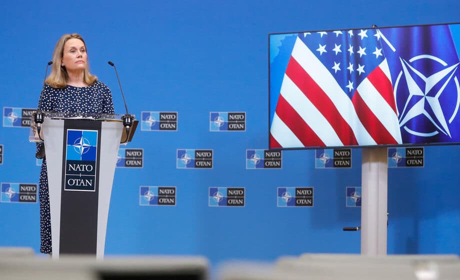 ambasadorka sad u nato dzulijen smit