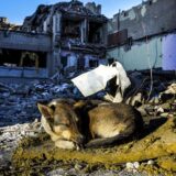 BLOG UŽIVO: Ubijeno 79 dece u Ukrajini, Makron i Šolc razgovarali sa Putinom, Zelenski uveren da Rusija neće pobediti 7