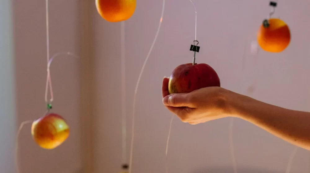 Vođenje kroz “Sobu s pogledom” 1