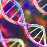 Nauka i istorijsko saznanje: Prvi put otkriven čitav ljudski genom 4