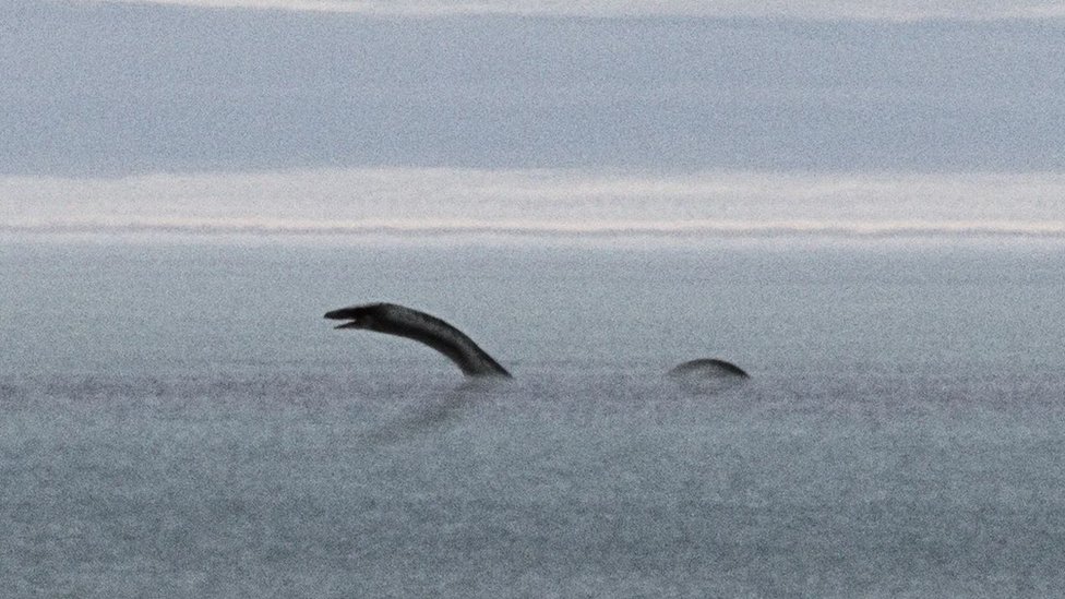 Istorija, mitologija i priroda: Čudovišta iz morskih dubina od kojih su ribari zazirali 2 Čudovište iz Loh Nesa