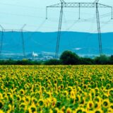 Ukrajina, Rusija i ekonomija: Rat će izazvati najveći skok cena u poslednjih 50 godina, procena Svetske banke 5