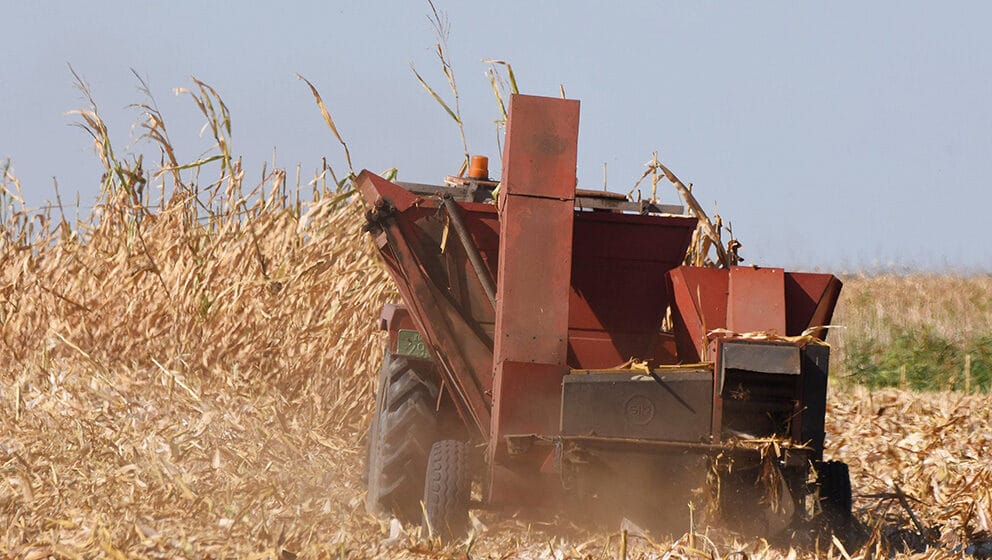 Na Produktnoj berzi u Novom Sadu pojeftinili pšenica, kukuruz, soja i uljana repica 1