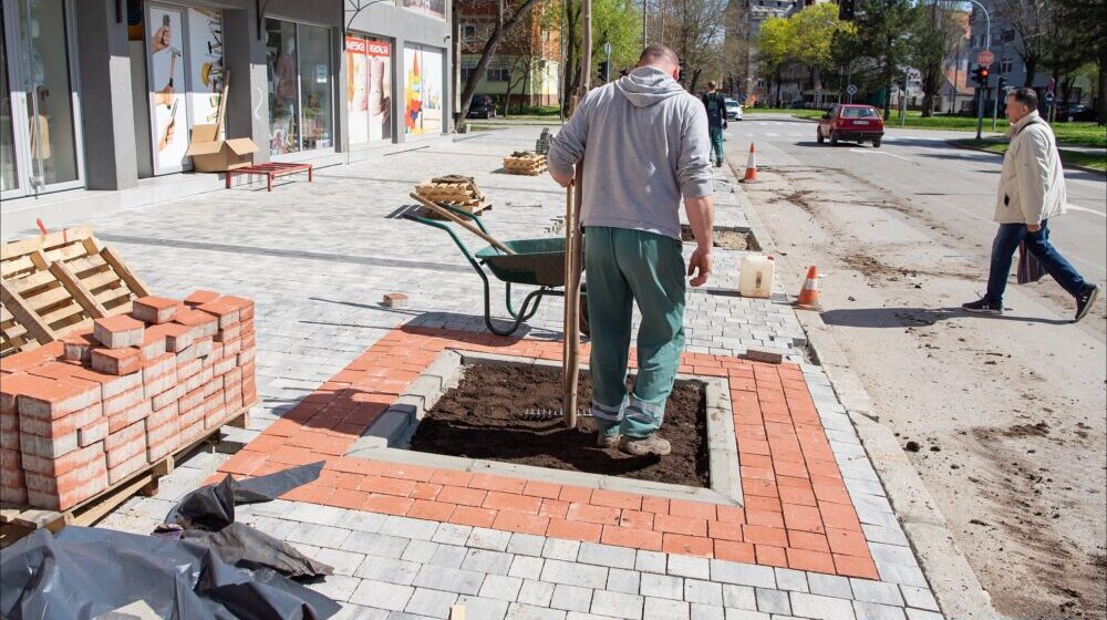 Zrenjanin: Popločava se staza ispred zgrade Lesnine i sadi drveće 1