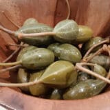 Šta su kapari i kako izgledaju? 1